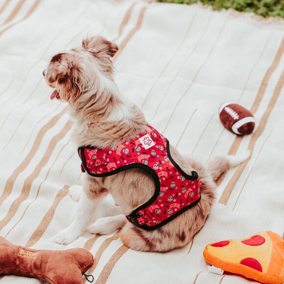 Ohio State Brutus Buckeye Pet Harness - Picture 9 of 16